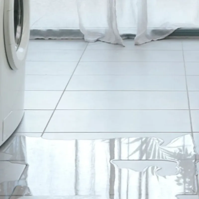 Appliance Leak Cleanup in Wheeler County, TX