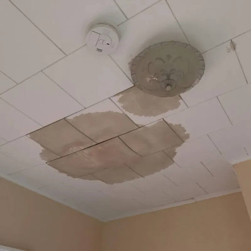 Ceiling Water Damage Repair in Wheeler County, TX