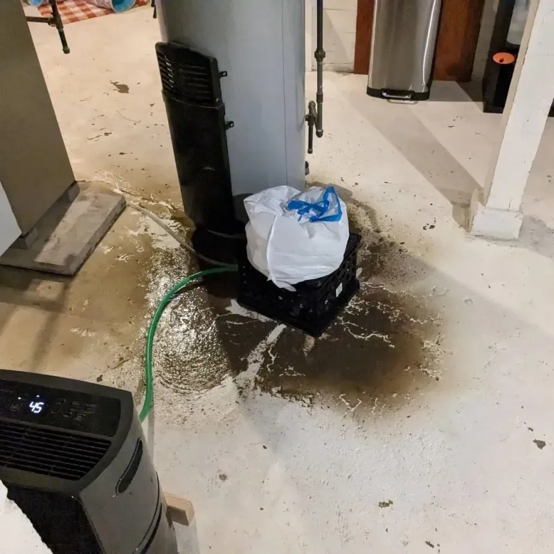 Sewage Backup Cleanup Service in Wheeler County, TX